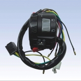 ZN-A004
